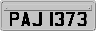 PAJ1373