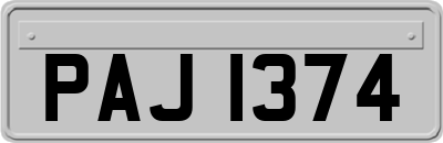 PAJ1374