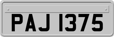 PAJ1375