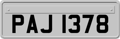 PAJ1378