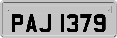 PAJ1379