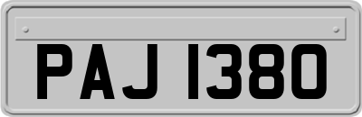 PAJ1380
