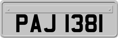 PAJ1381