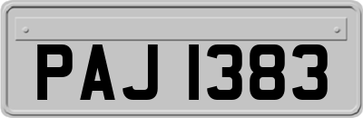 PAJ1383