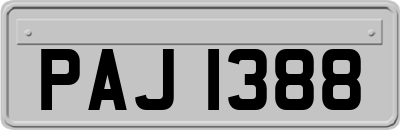 PAJ1388