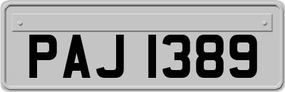 PAJ1389