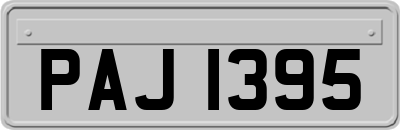 PAJ1395