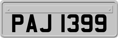PAJ1399