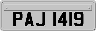 PAJ1419