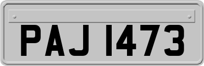 PAJ1473