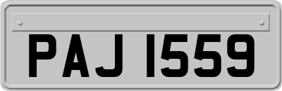 PAJ1559