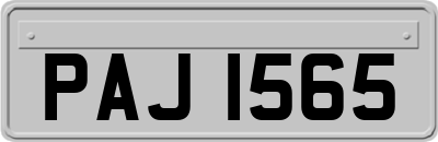 PAJ1565