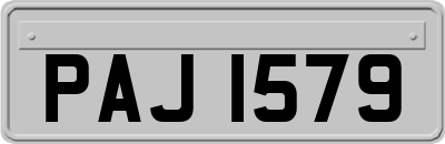 PAJ1579