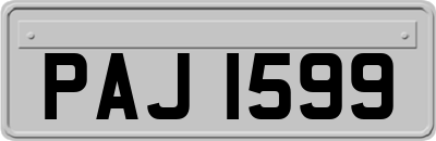 PAJ1599