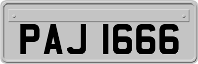 PAJ1666