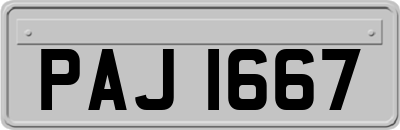 PAJ1667