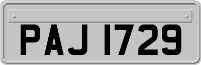PAJ1729