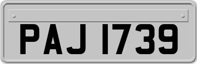 PAJ1739