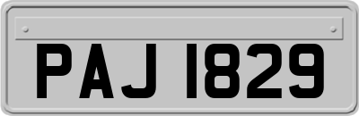 PAJ1829