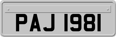 PAJ1981