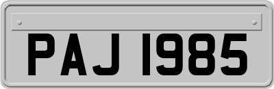 PAJ1985