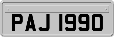 PAJ1990