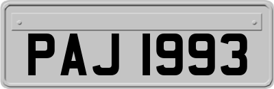 PAJ1993