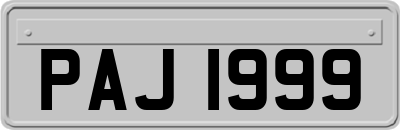 PAJ1999