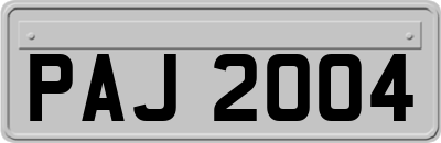 PAJ2004