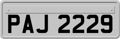 PAJ2229