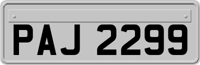 PAJ2299