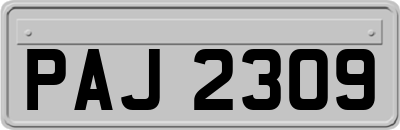 PAJ2309