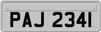 PAJ2341