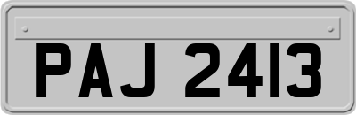 PAJ2413