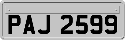 PAJ2599