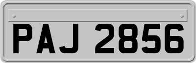 PAJ2856