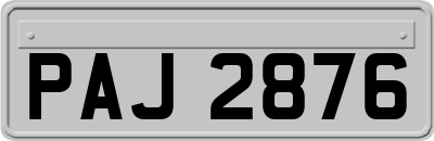 PAJ2876