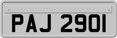 PAJ2901