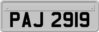 PAJ2919