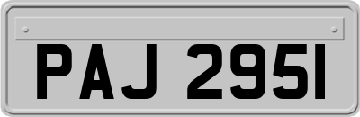 PAJ2951