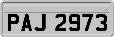 PAJ2973