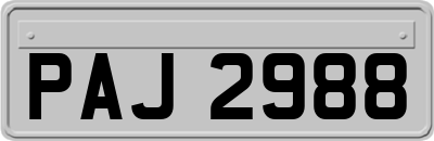 PAJ2988