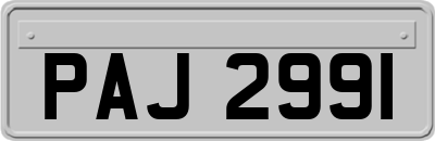 PAJ2991