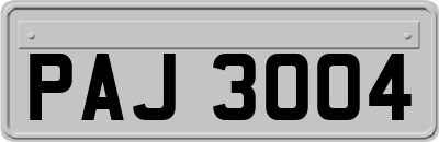 PAJ3004