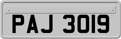 PAJ3019