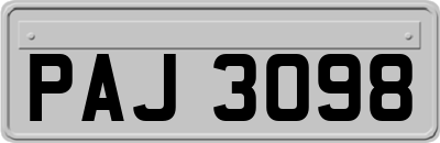 PAJ3098