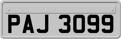 PAJ3099