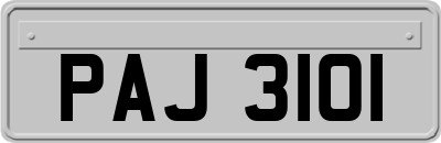 PAJ3101