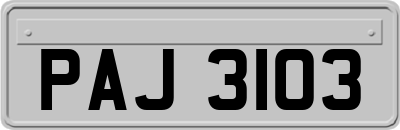 PAJ3103