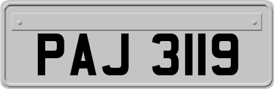 PAJ3119